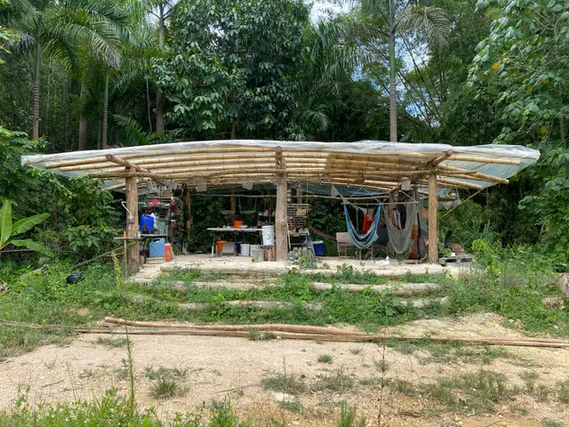 Bamboo kitchen
