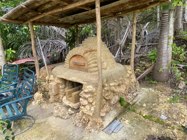 Oven1